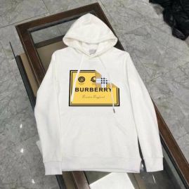 Picture of Burberry Hoodies _SKUBurberryM-5XLkdtn4710242